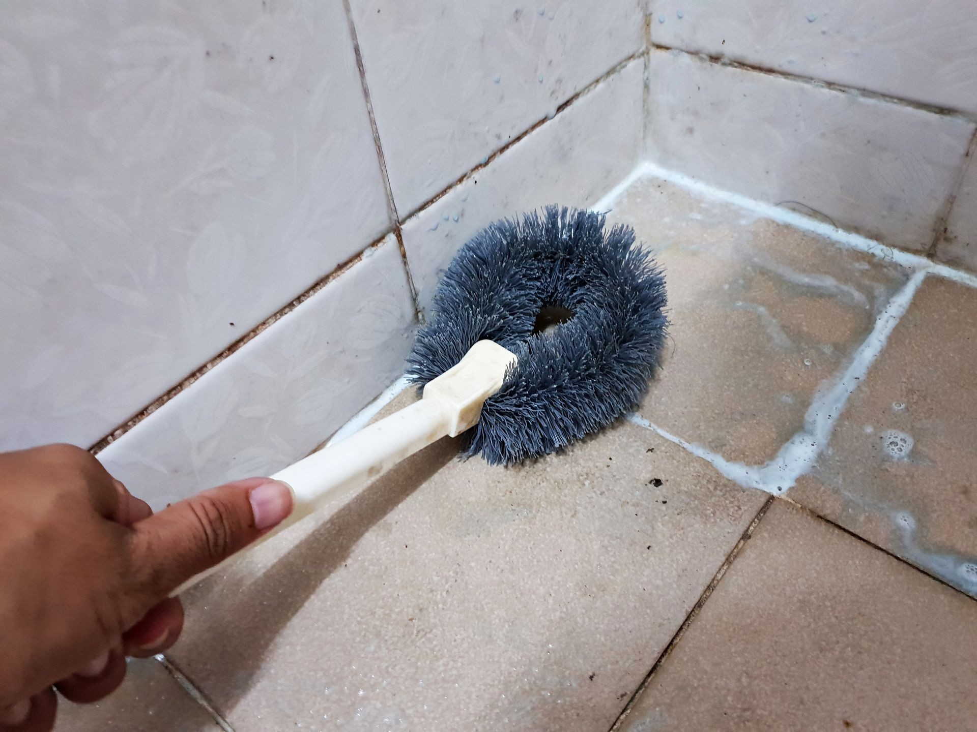 Move-in and move-out cleaning covers meticulous detail to every dirty nook, even this unkept bathroom tile.